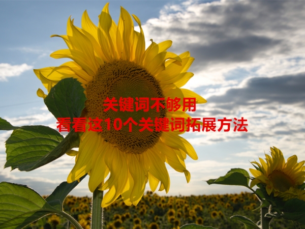 關(guān)鍵詞不夠用，看看這10個關(guān)鍵詞拓展方法！